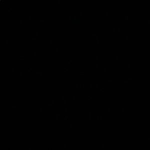 Meet your Posher, Peyton